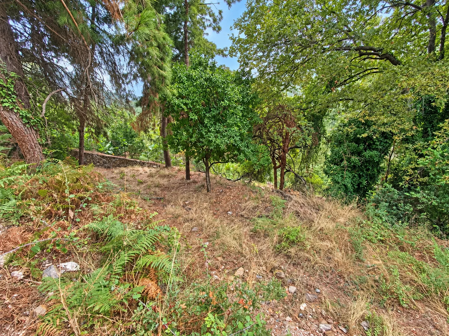 Alanya Bektaş'da Villa İmarlı Manzaralı Satılık Arsa