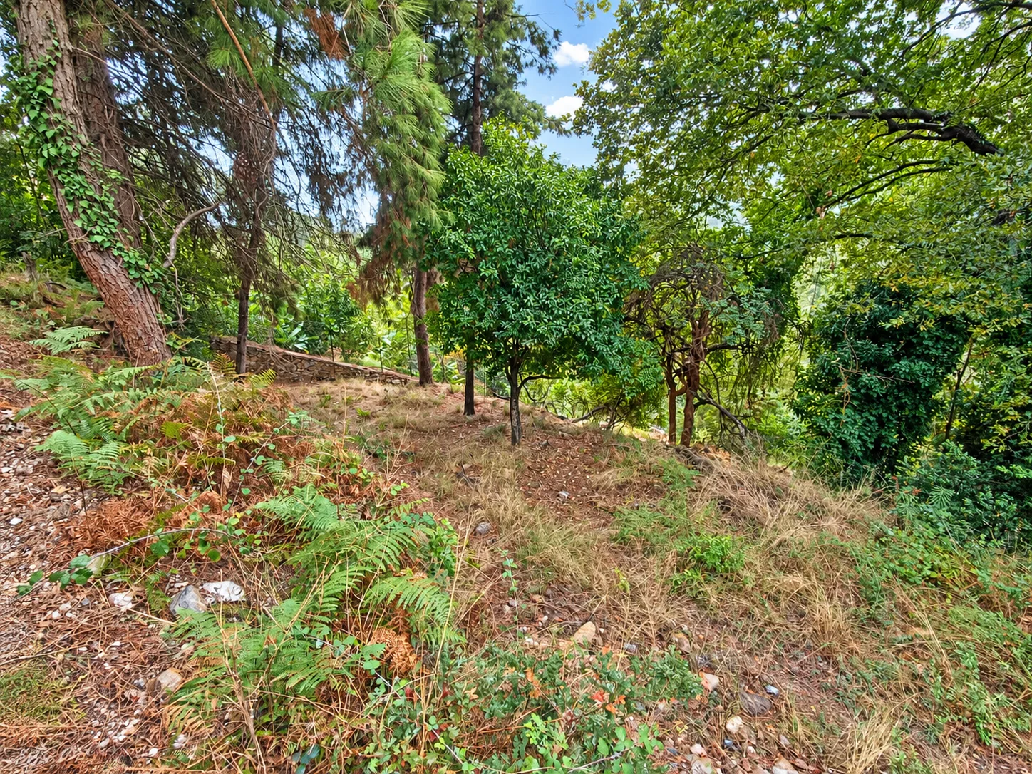 Alanya Bektaş'da Villa İmarlı Manzaralı Satılık Arsa