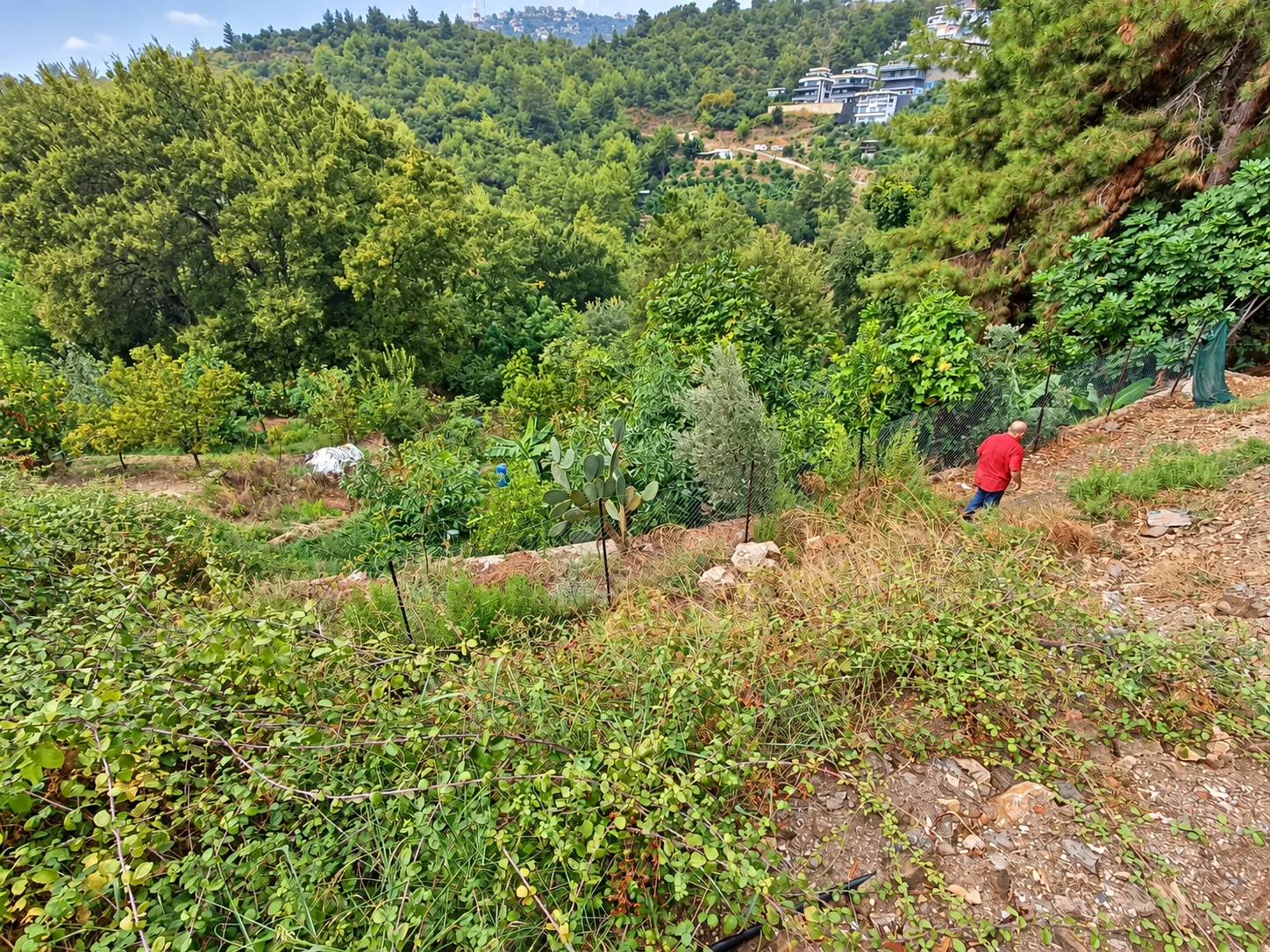 Alanya Bektaş'da Villa İmarlı Manzaralı Satılık Arsa