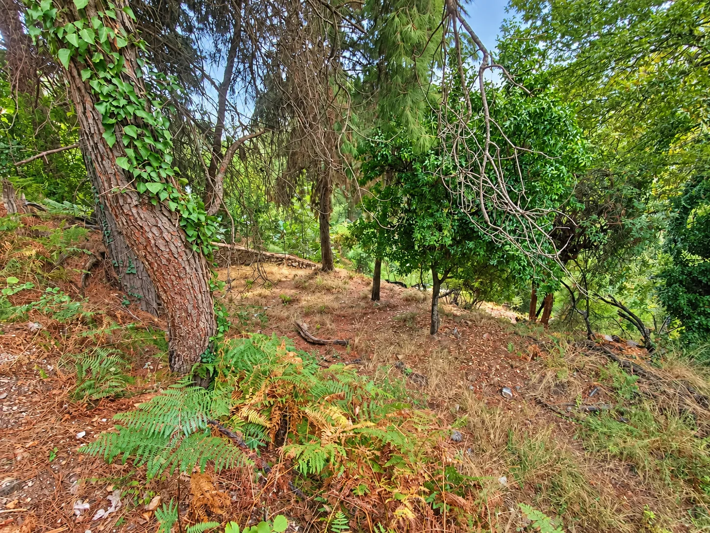 Alanya Bektaş'da Villa İmarlı Manzaralı Satılık Arsa