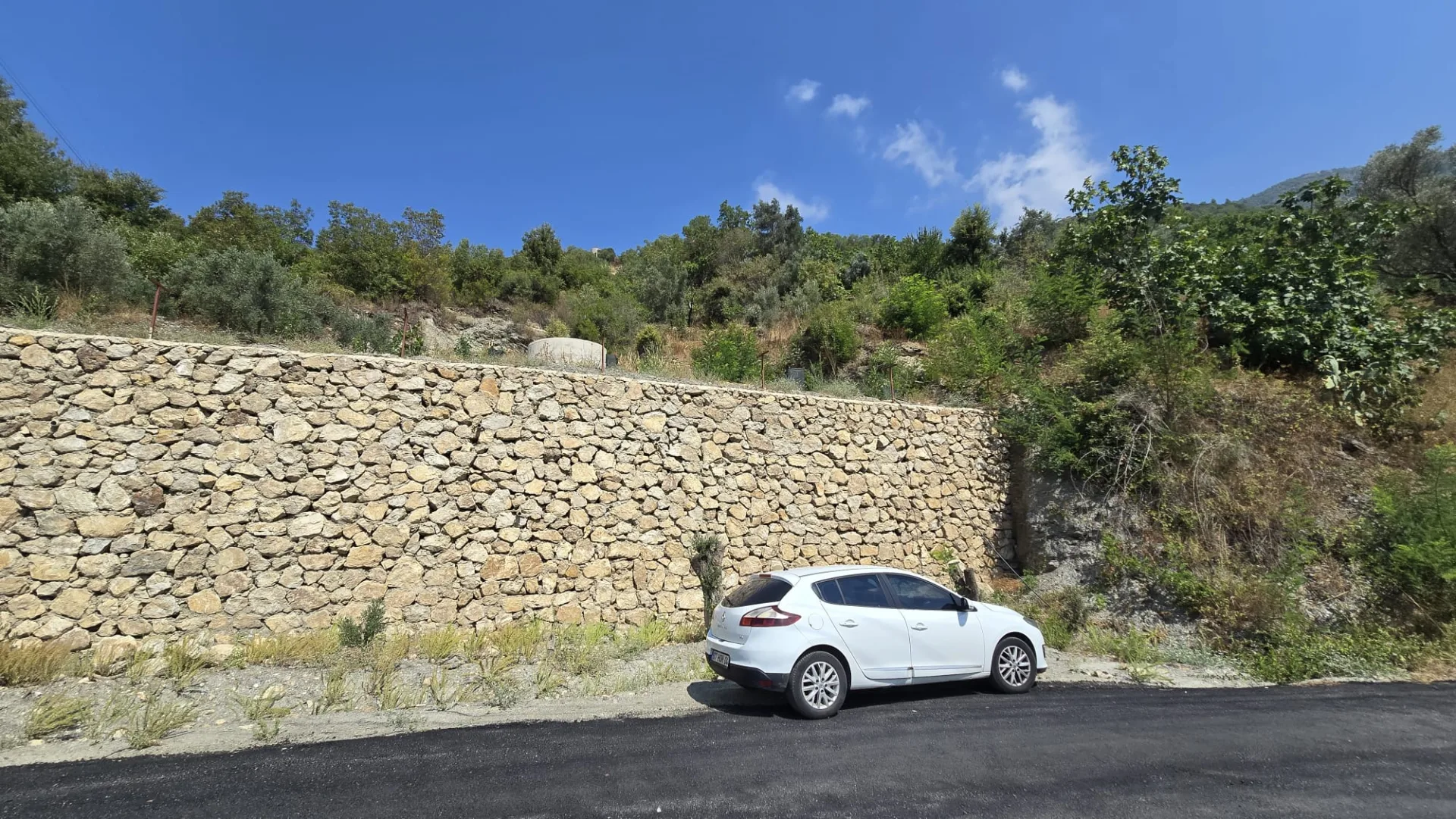 Alanya Mahmutseydi Üç Irmak Mevki Yol Satılık Tarla