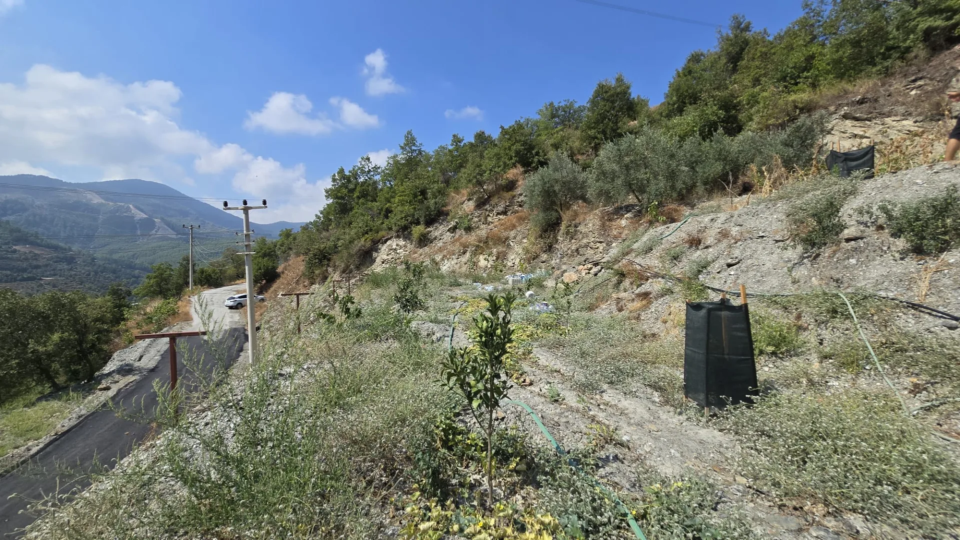 Alanya Mahmutseydi Üç Irmak Mevki Yol Satılık Tarla