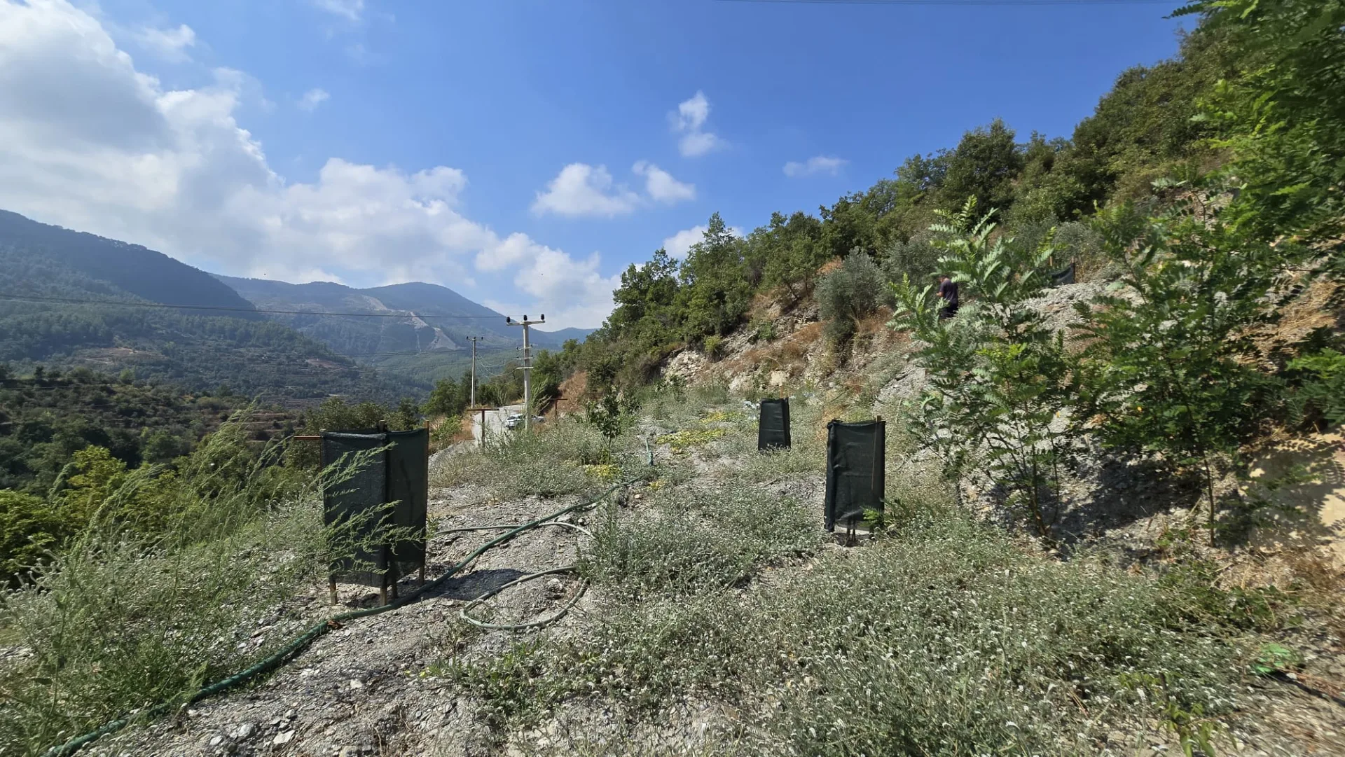 Alanya Mahmutseydi Üç Irmak Mevki Yol Satılık Tarla