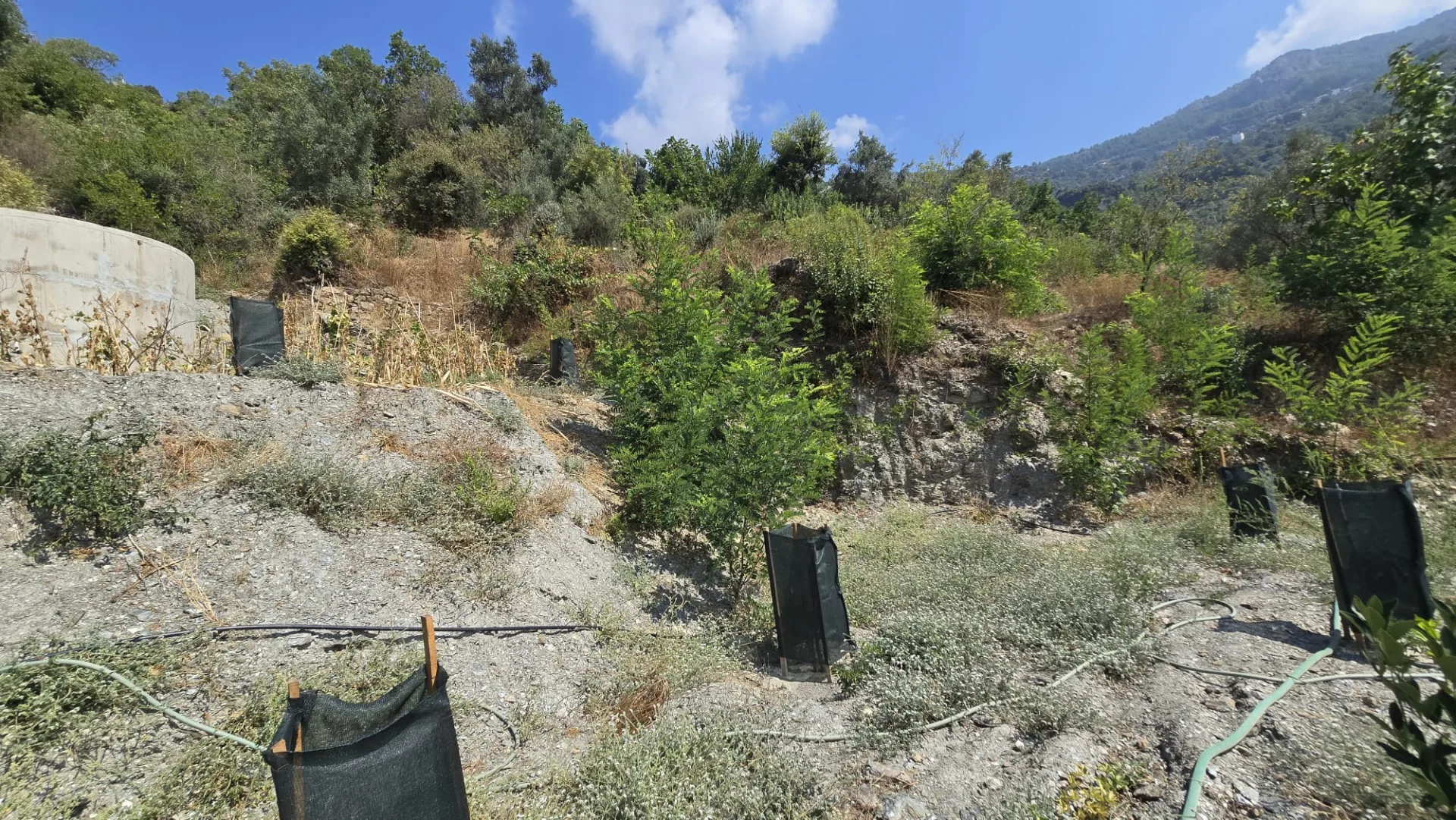 Alanya Mahmutseydi Üç Irmak Mevki Yol Satılık Tarla