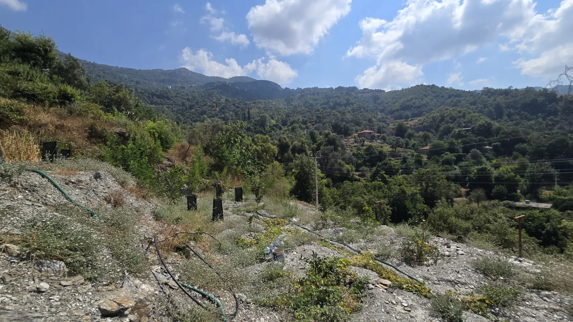 Alanya Mahmutseydi Üç Irmak Mevki Yol Satılık Tarla