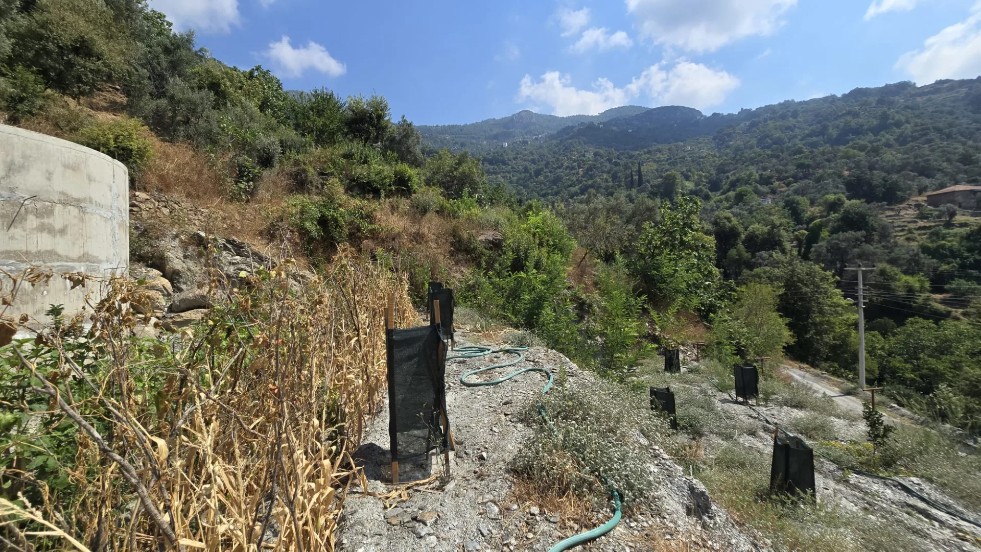 Alanya Mahmutseydi Üç Irmak Mevki Yol Satılık Tarla
