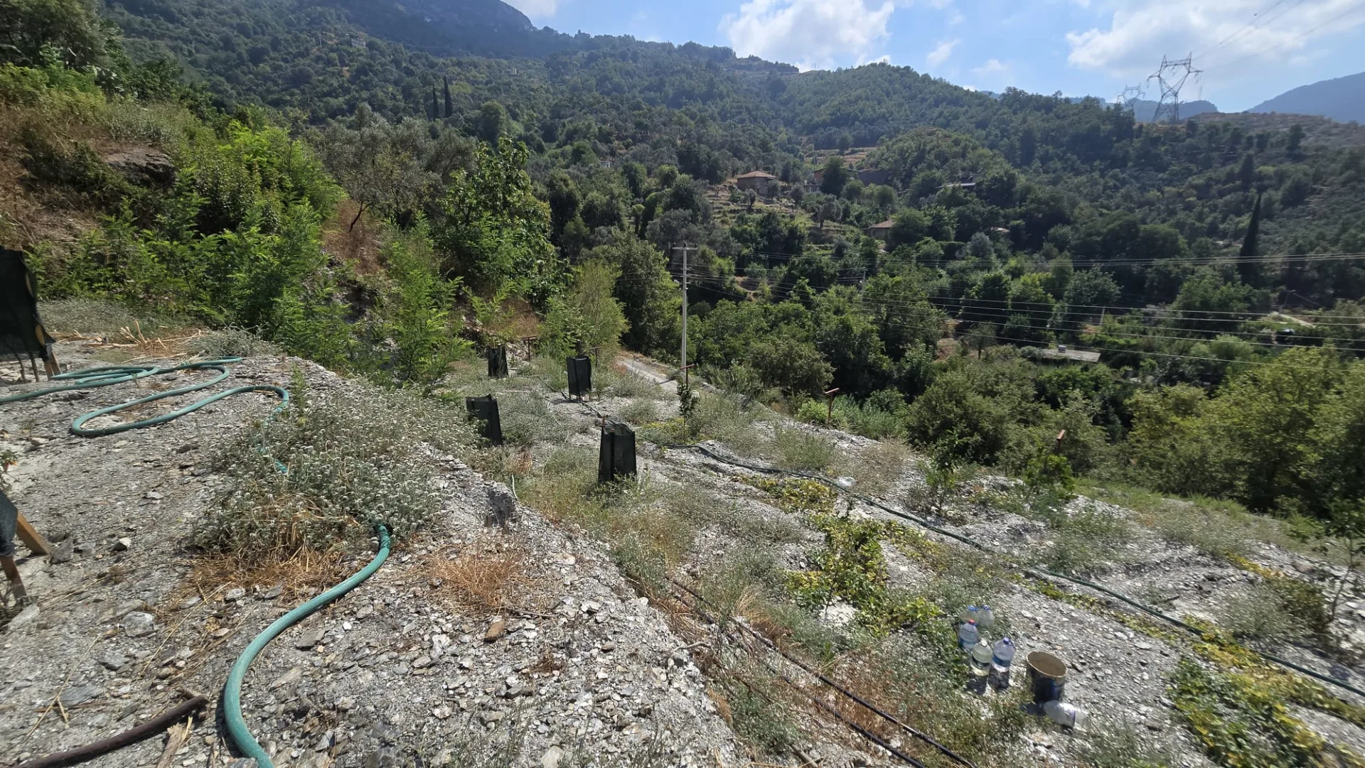 Alanya Mahmutseydi Üç Irmak Mevki Yol Satılık Tarla