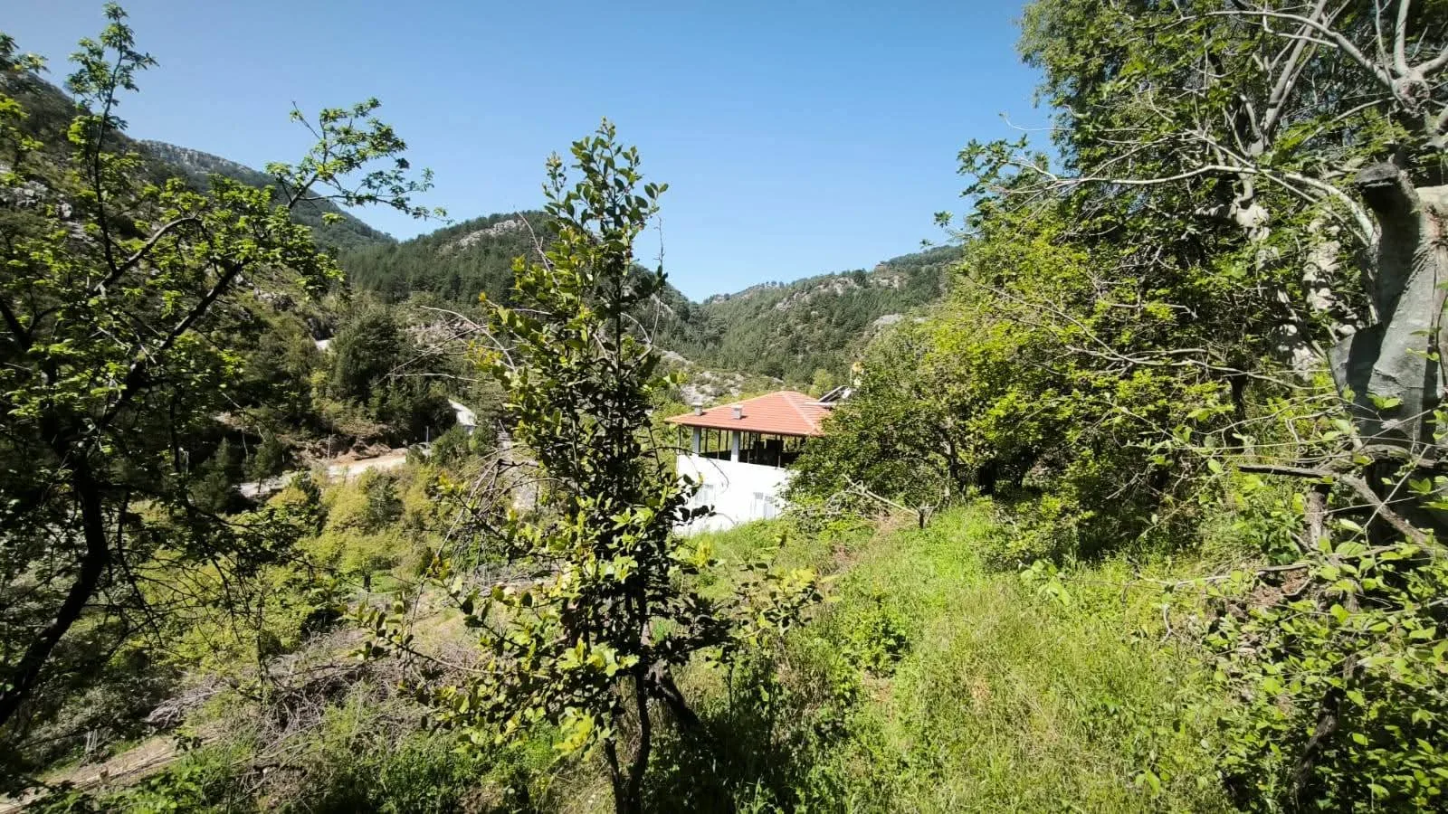 Alanya Asmaca Satılık Tarla | 327 m² Müstakil Tapulu