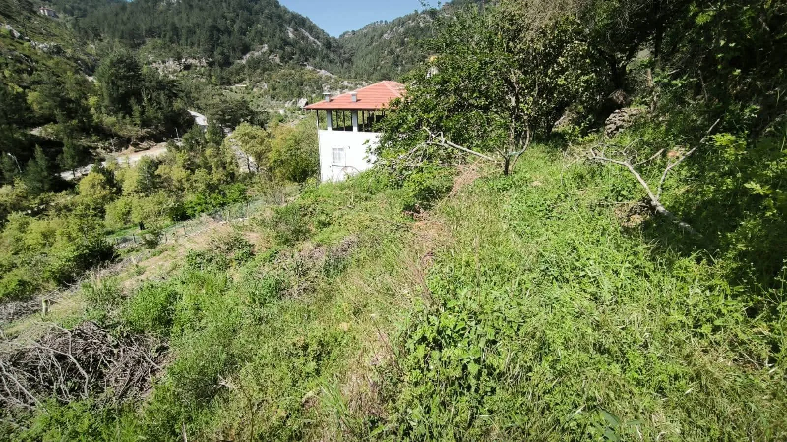 Alanya Asmaca Satılık Tarla | 327 m² Müstakil Tapulu