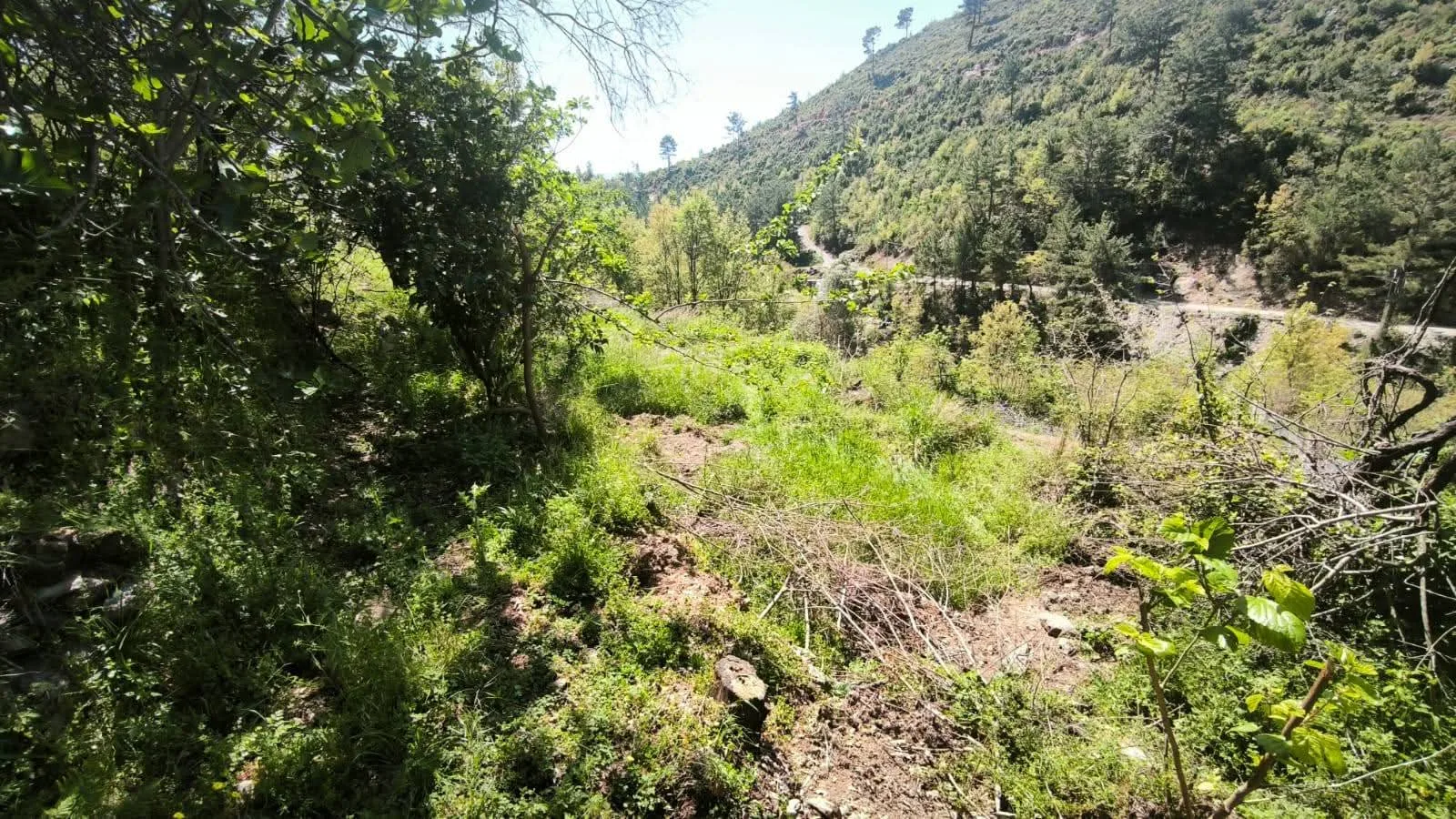 Alanya Asmaca Satılık Tarla | 327 m² Müstakil Tapulu